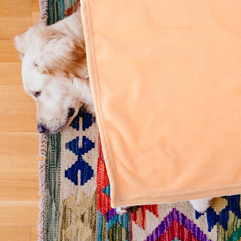 Gorgeous Flannel Fleece Pet Blanket Cozy Towel Color Pet Blanket(Camel) - Image 5