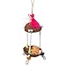 PH Prevue Hendryx Prevue Pet Products Forage Engage Tropical Teasers Tiki Hut Bird Toy 62188 - Image 3