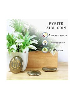 REBUY REBUY Pyrite Stone Money Switch Coin Pyrite Money Switch Word and Zibu Symbol Coin  - Image 2
