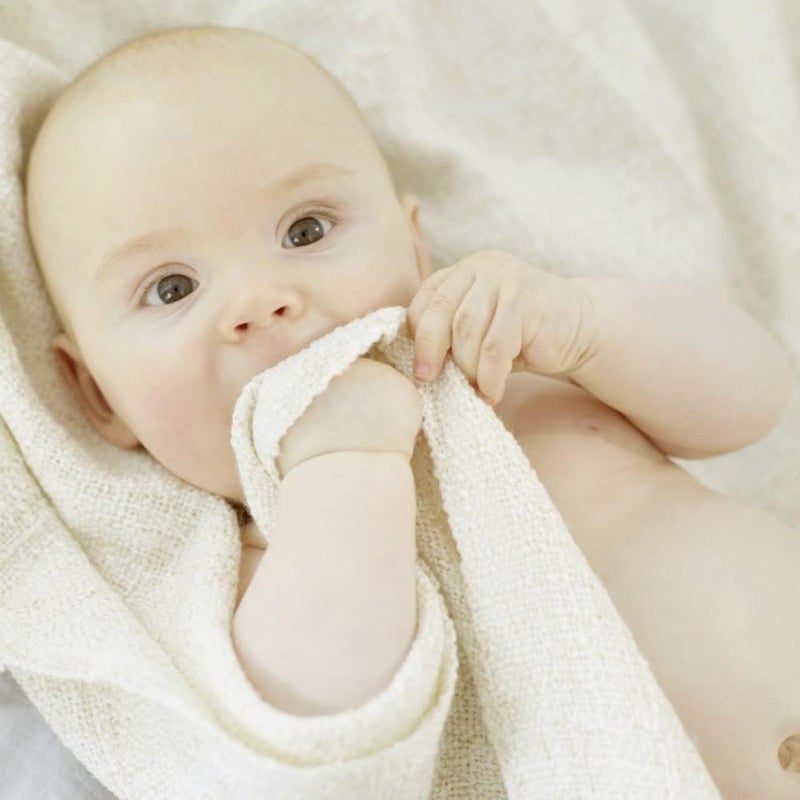 ويليدا Baby Sensitive Care Face Cream, 1.7 Fluid Ounce, Plant Rich Moisturizer with White Mallow, Pansy and Sweet Almond Oil - Image 5