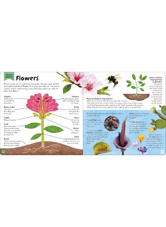 My First Encyclopedia - Image 3