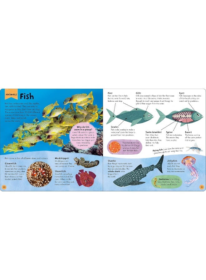 My First Encyclopedia - Image 4