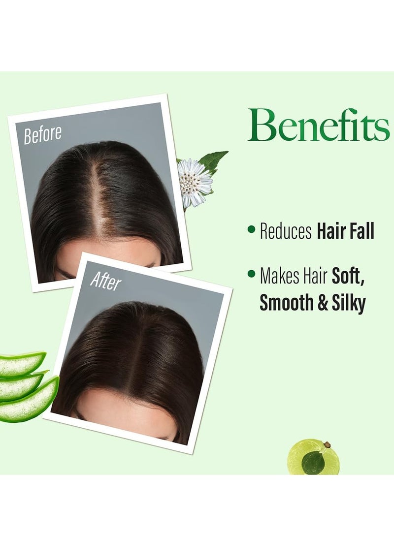 Kesh King Ayurvedic Anti-Hairfall Shampoo | Reduces hairfall | 21 Ayurvedic herbs | No Paraben & No Silicon | Enriched with Aloe Vera, Bhringraja & Amla | 600 ml - Image 3