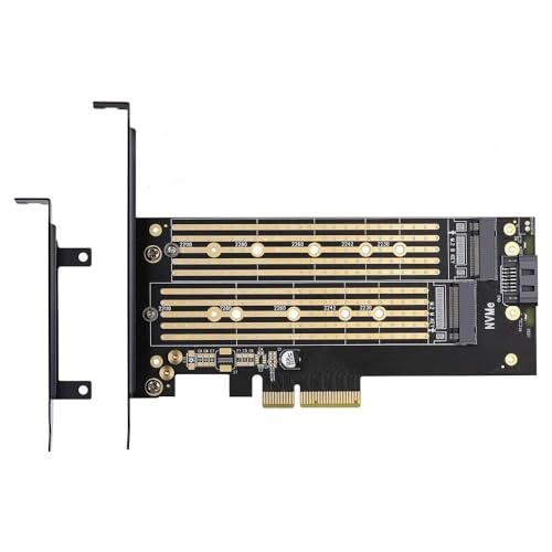 Etzin Dual M.2 PCIE Adapter for SATA or PCIE NVMe SSD with Advanced Heat Sink Solution,M.2 SSD NVME and SATA22110 2280 2260 2242 2230to PCI-e 3.0 x 4 Host Controller Expansion Card - Image 1