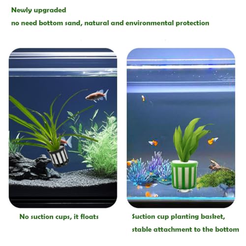 HAISENGO 24 Set Anti-Floating Aquarium Plant Rings, Aquatic Plants Fixed Rings with Suction, Aquarium Landscape Plastic Plant Fixing Aquarium Plant Weights Pot Fish Tank Accessories - Image 5
