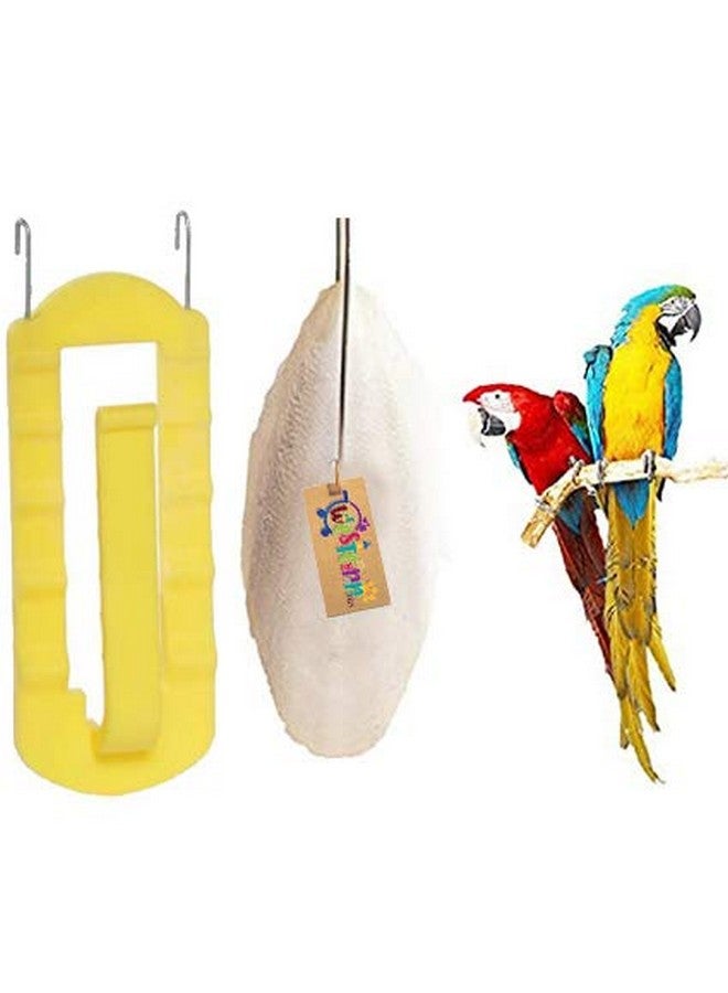 Western Era Natural High Calcium Source Cuttlebone Fish For Birds, Parrot (500Grm + Holder - Image 1