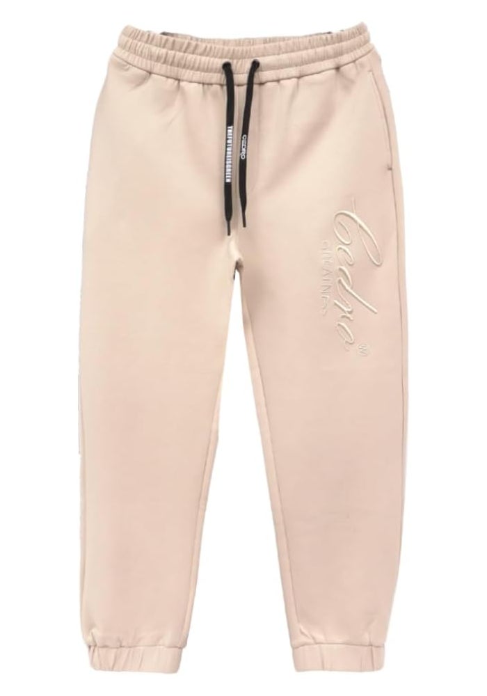 CEDRO تي شيرت سيديو ذو الشعار الكبير باللون البيج للرجال - Image 3