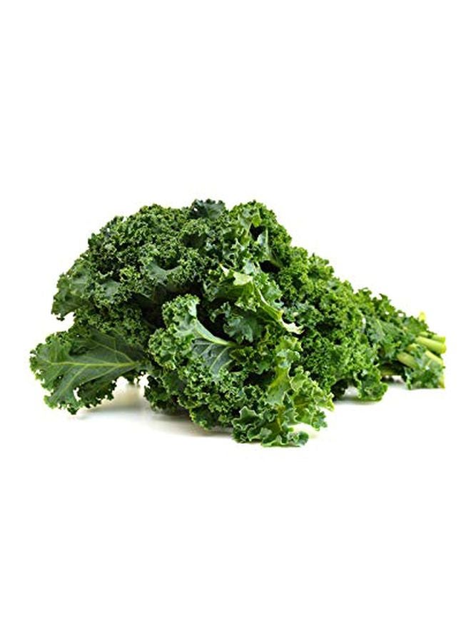 Chef'n LooseLeaf Kale, Chard, Collard Greens and Herb Stripper - Image 2