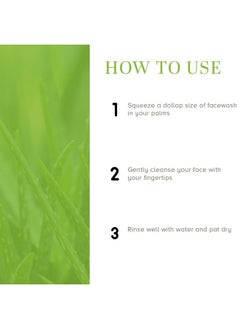 Khadi Natural Khadi Natural Aloe Vera Face Wash for Detoxifying & Moisturizing Skin | Natural Face Wash for Healthy Skin | SLS & Paraben Free | All Skin Types | 100 ml  - Image 4