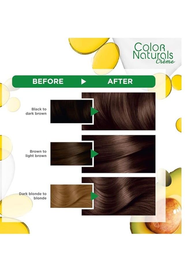 Garnier Garnier Color Naturals Permanent Creme Hair Color - 5.3 Light Golden Brown  112 ML  - Image 3