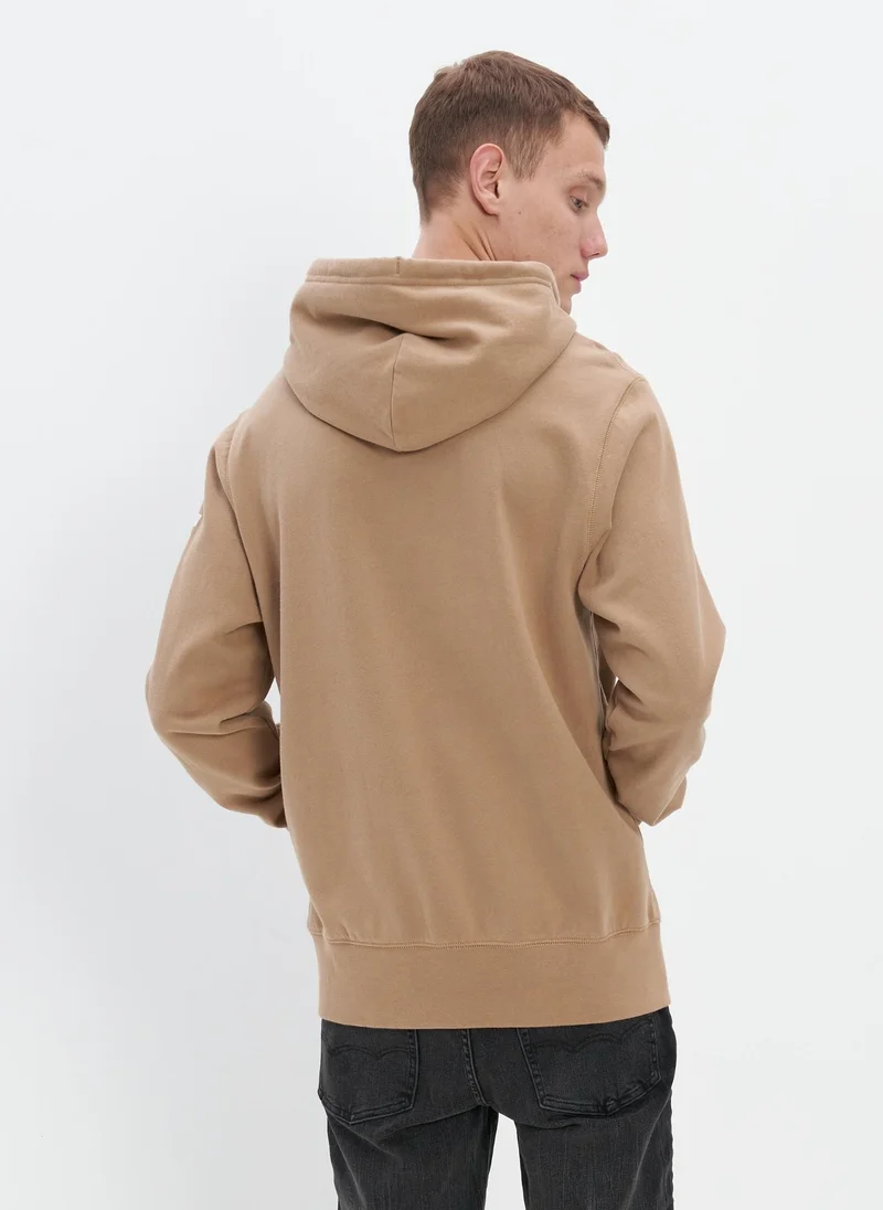 American Eagle AE Super Soft Icon Graphic Hoodie