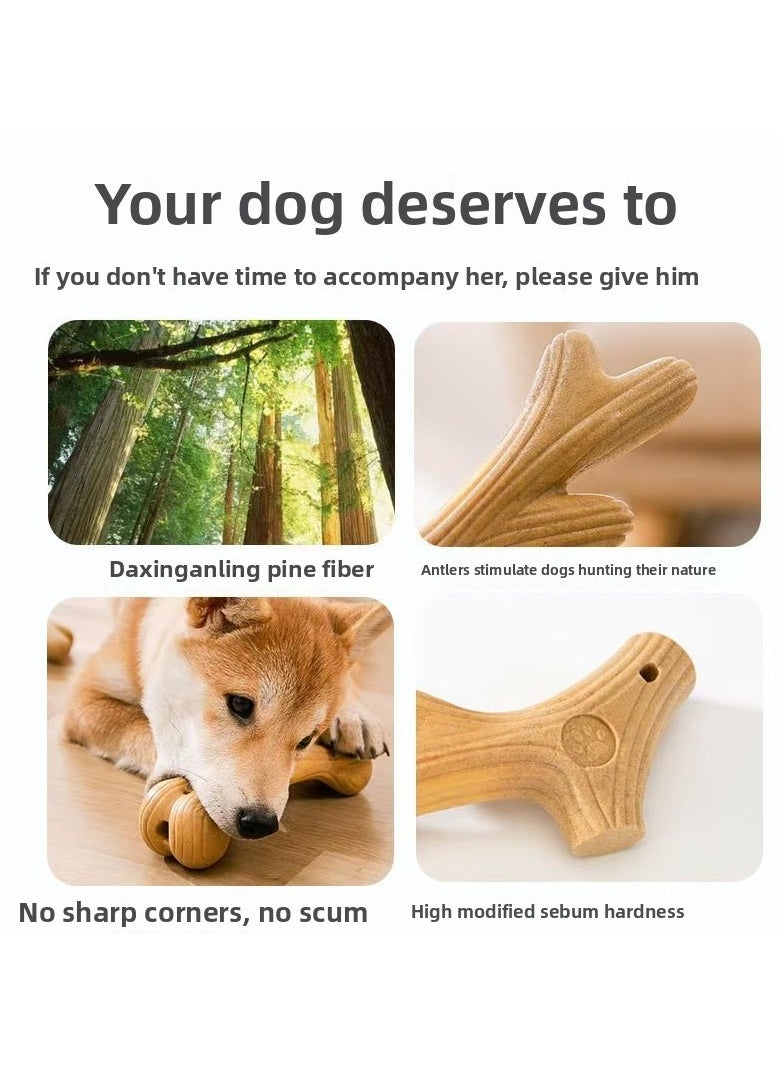 Must - have  Antler - bone Dog Chew Stick - Exclusive for Large Dogs like Golden Retrievers, Border Collies and Puppies - Self - entertaining, Boredom - relieving and Teeth - cleaning