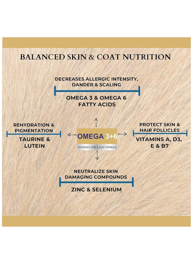 PET360 Omega 3+6 Concentrated Salmon Fish Oil with Vitamins, Minerals & Taurine, Advanced Skin & Coat Formula for Dogs & Cats 200 ml - Image 4