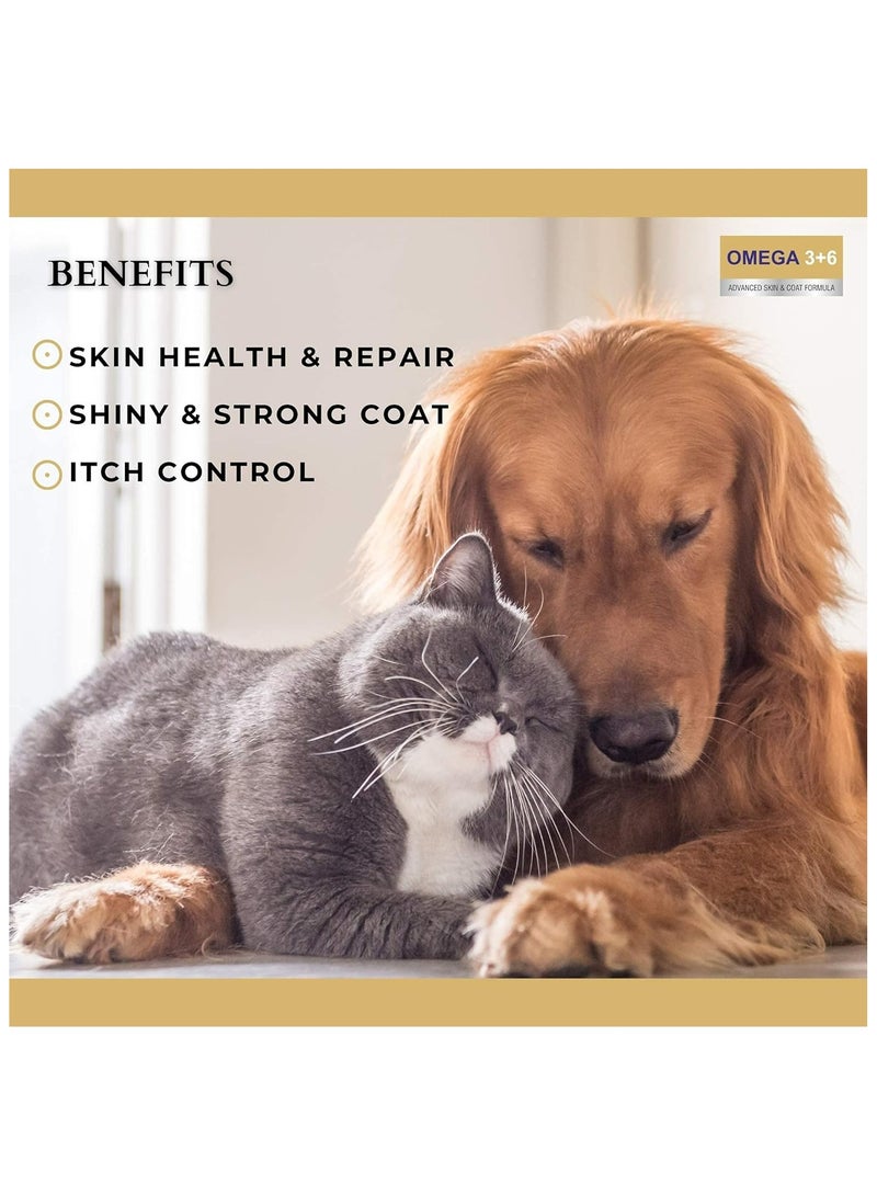 PET360 Omega 3+6 Concentrated Salmon Fish Oil with Vitamins, Minerals & Taurine, Advanced Skin & Coat Formula for Dogs & Cats 200 ml - Image 5