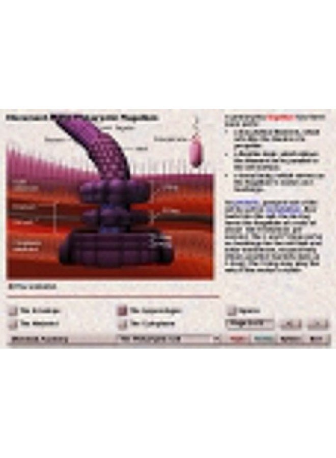 Beginning Microbiology: An Electronic Companion - Image 2