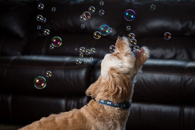Atomic Bubbles Puppy Love Bubbles, Peanut Butter Scented Bubbles 4oz. Bottle-2 Pack in Peanut Butter Flavor for Dogs - Image 5