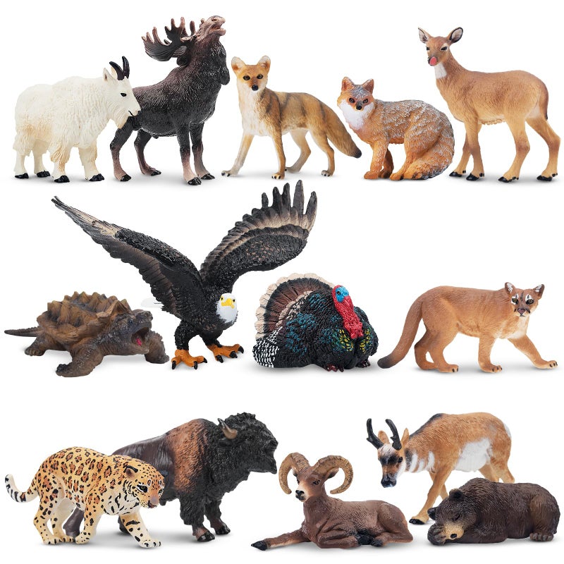Toymany 14PCS Mini North American Forest Animals Figurines Realistic Jungle Animal Toys Includes Elk Pronghorn Leopard Gey Fox for Kids Adults Toddlers - Image 2