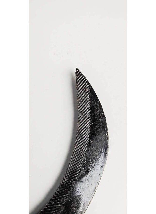 FTE FTE Grass Pruning curved saw Fiber Handle Traditional handsaw light weight for Grass Cutting Gardening and Agriculture purpose Medium Size 33 cm  - Image 1