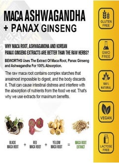 Macal Maca Ginseng Capsules for strengthening the body and improving endurance - 120 capsules  - Image 4