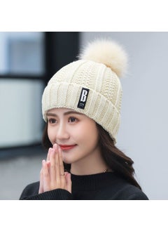 Winter Warm Knit Beanie Velvet Lined Casual Cap Beige [single hat]]