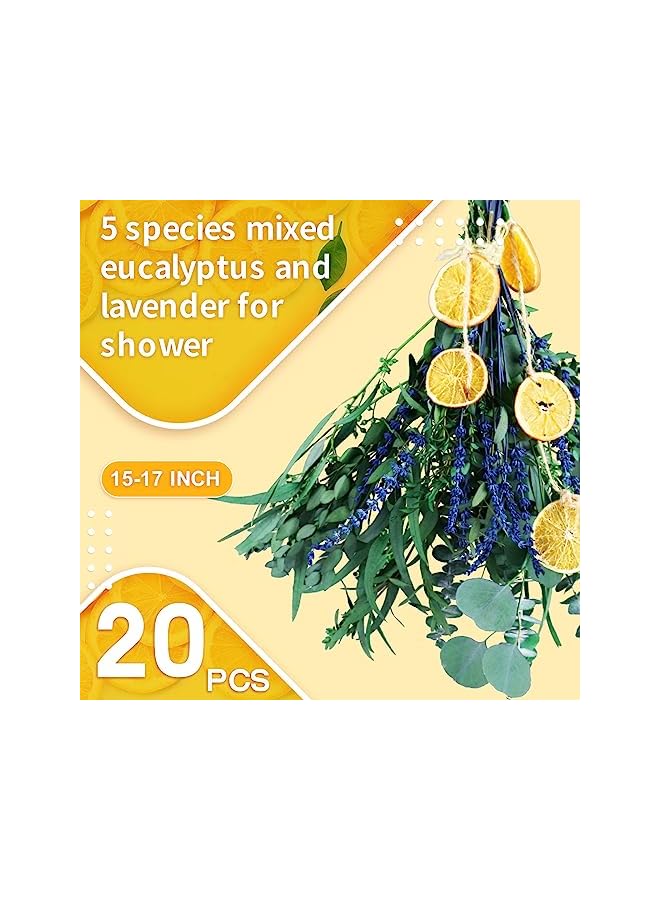 The Bros 5 Kinds Mix Dried Eucalyptus & Lavender Flowers Bundle for Shower , 15''-17''Natural Real Fresh Preserved Eucalyptus Leaves and Lemon Hanging Plants, Home Bathroom Decor, Fragrance - Image 5