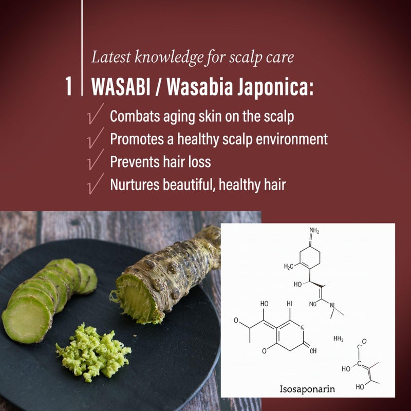 Diane مجموعة شامبو وبلسم موست ديان المضاد لتساقط الشعر للنساء والرجال، شامبو لتكثيف الشعر ضد تساقط الشعر بزيت الأركان، الكيراتين، جذور الجينسنغ، مستخلص الوسابي في اليابان 30.4 أونصة سائلة التحكم في تساقط الشعر - Image 2