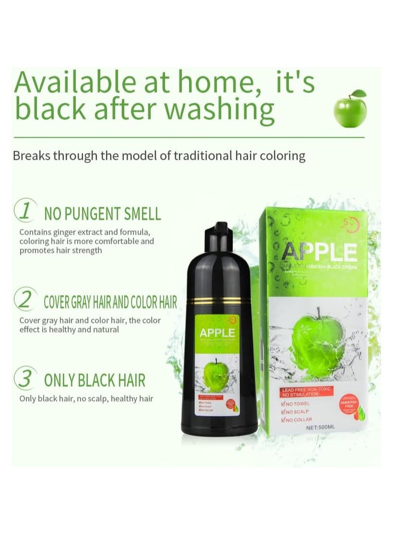 بلومنغ تايم صبغة الشعر واللحية بخلاصة فاكهة التفاح، لون أسود طويل الأمد بدون أمونيا - 500 مل - Image 3