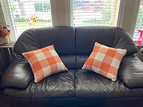 VAKADO Fall Outdoor Decor Throw Pillow Covers 18x18 Set of 2 Orange Buffalo Plaid Thanksgiving Front Porch Farmhouse Rustic Cushion Autumn Home Decorations for Couch Sofa Living Room - Image 4