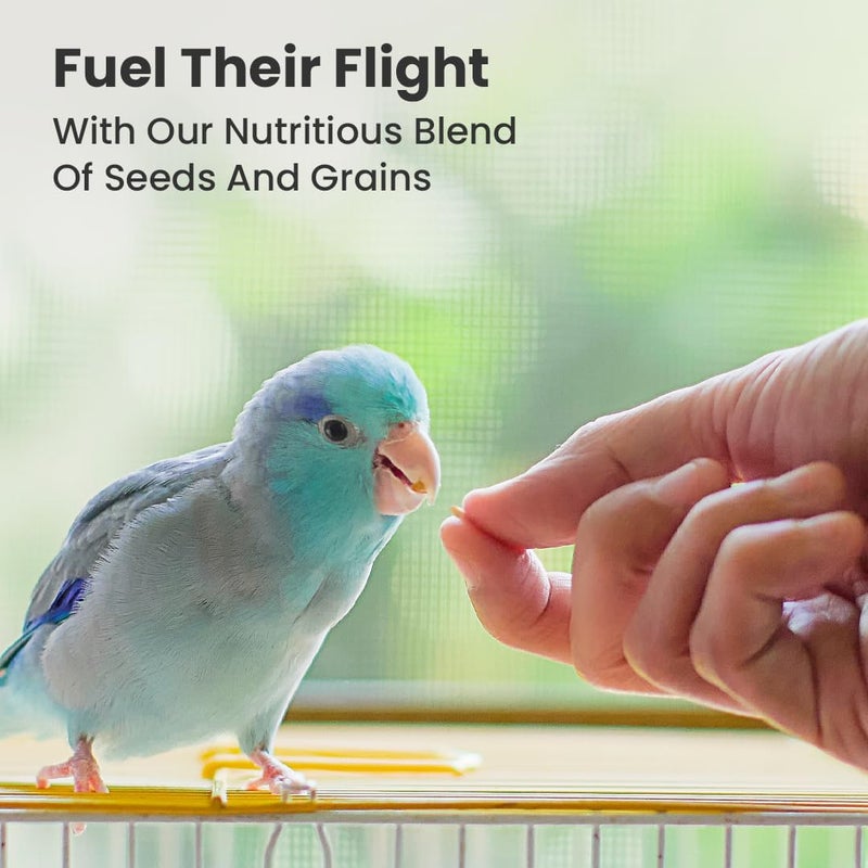 BRANDSFINITY Premium Bird Feed For Canaries - Image 4