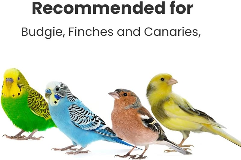 BRANDSFINITY Premium Bird Feed For Canaries - Image 5
