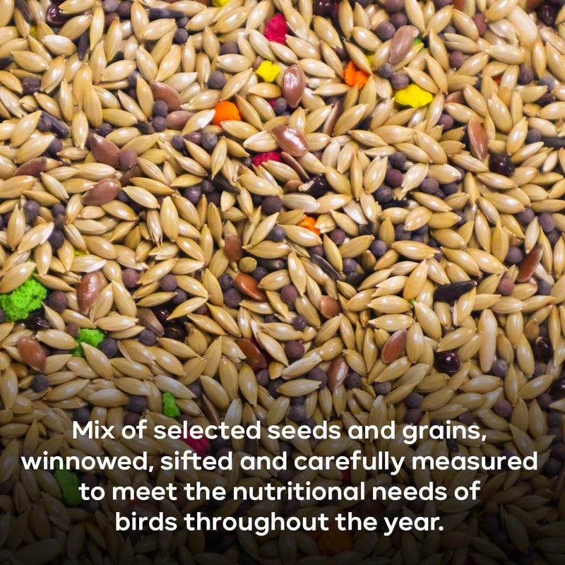 BRANDSFINITY Premium Bird Feed For Canaries - Image 2