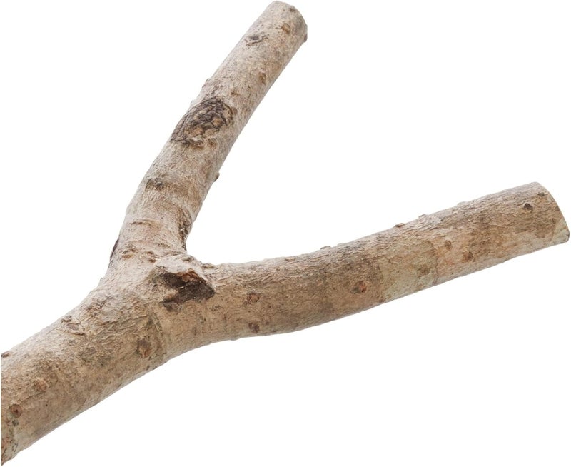 Trixie Natural Living Y-Shape Perch for Birds - 20cm - Image 3