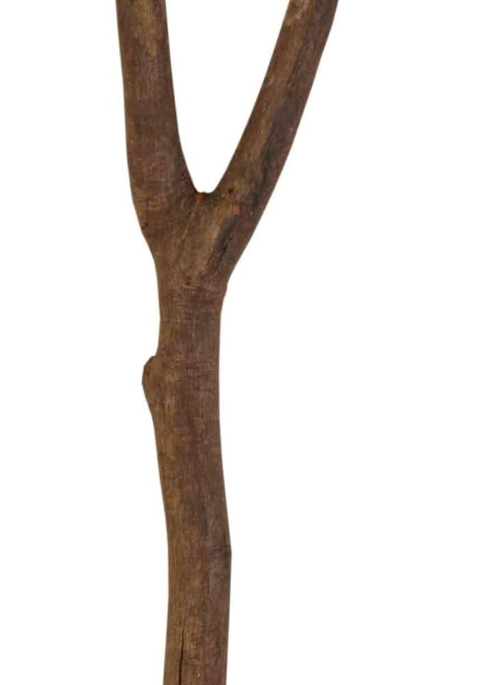 Trixie Natural Living Y-Shape Perch for Birds - 20cm - Image 5