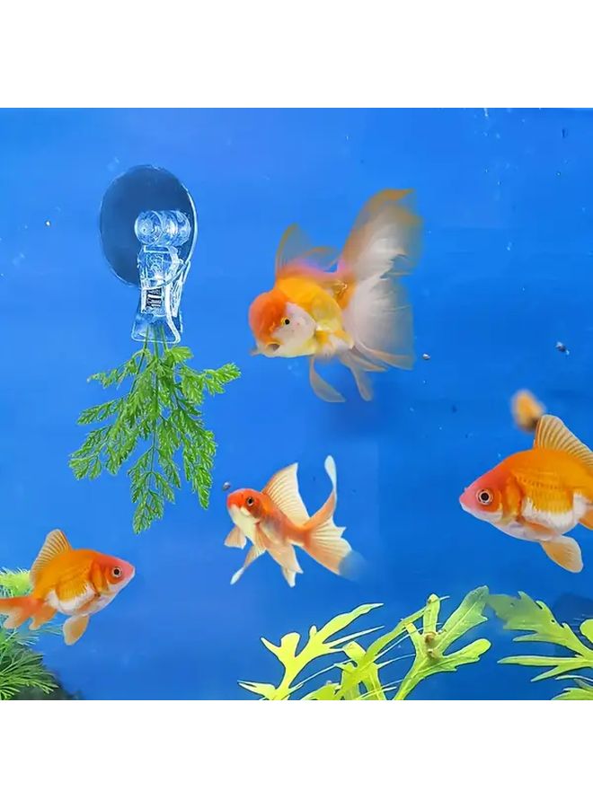 1pc Aquarium Veggie Suction Cup Clip Fish Tank Food Holder for Gerbil Seaweed - Image 4