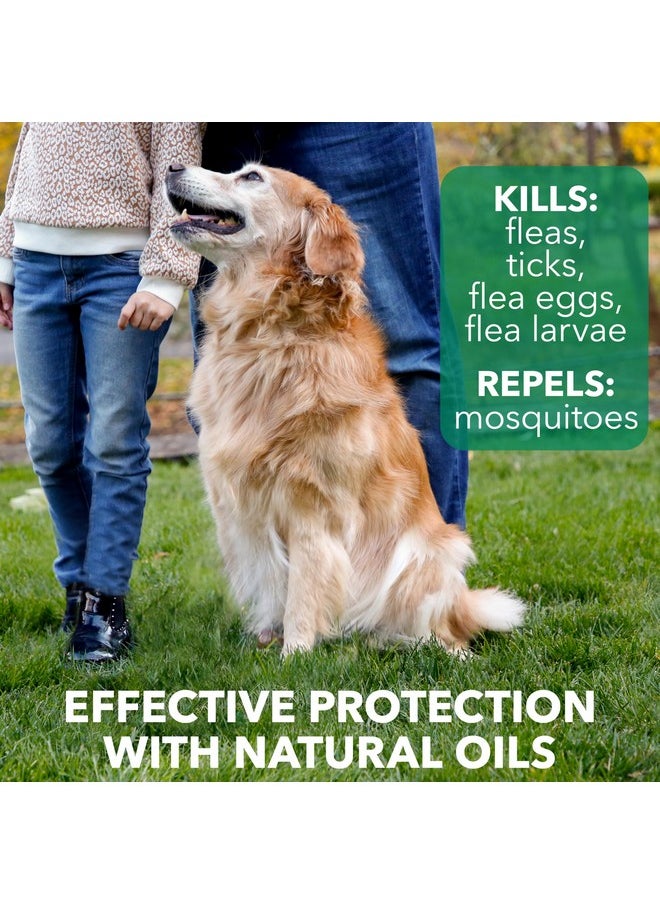 هارتز بخاخ علاج البراغيث والقراد من Nature'S Shield للكلاب، حماية طبيعية وفعالة من البراغيث والقراد للكلاب بزيت خشب الأرز والليمون، 14 أونصة  - Image 2