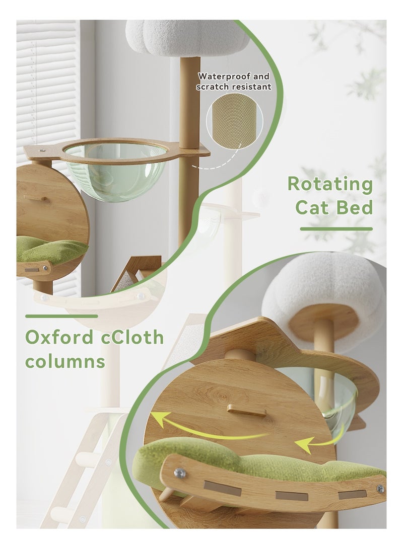 ليوكور شجرة القطة ، إطار تسلق القطة الكبيرة للقطط الداخلية ، برج القطة على مستوى أولتي مع أعمدة الخدش المغطاة بالسيسال ، هامش أكريليك وأعلى برش ، شقة القطة للقطط الكبيرة الصغيرة ، الأخضر (40x55x150 سم) - Image 4