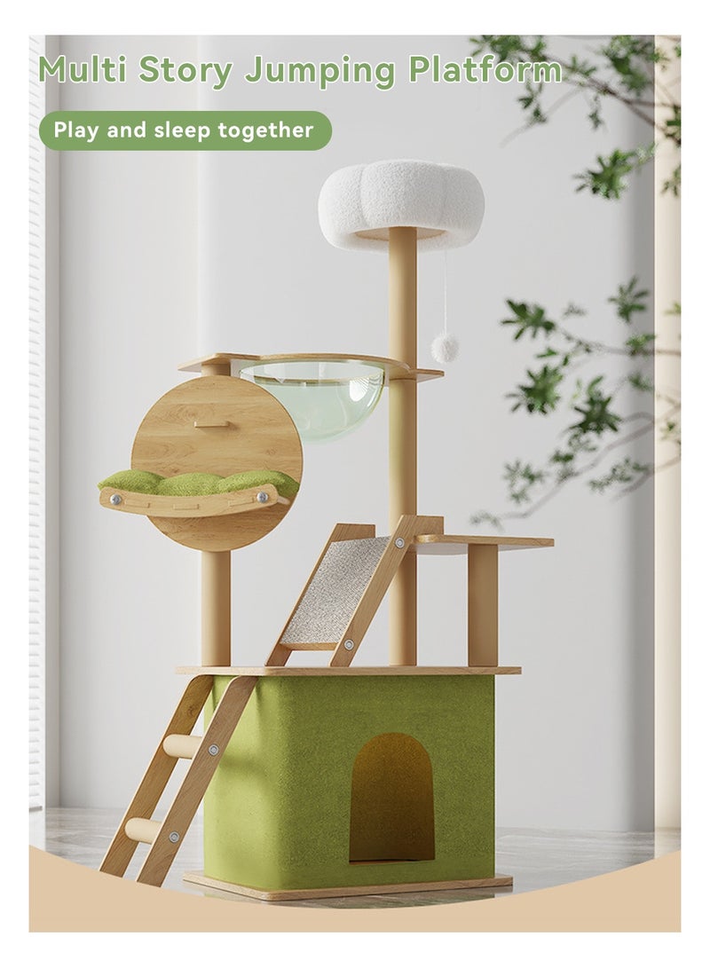 ليوكور شجرة القطة ، إطار تسلق القطة الكبيرة للقطط الداخلية ، برج القطة على مستوى أولتي مع أعمدة الخدش المغطاة بالسيسال ، هامش أكريليك وأعلى برش ، شقة القطة للقطط الكبيرة الصغيرة ، الأخضر (40x55x150 سم) - Image 2