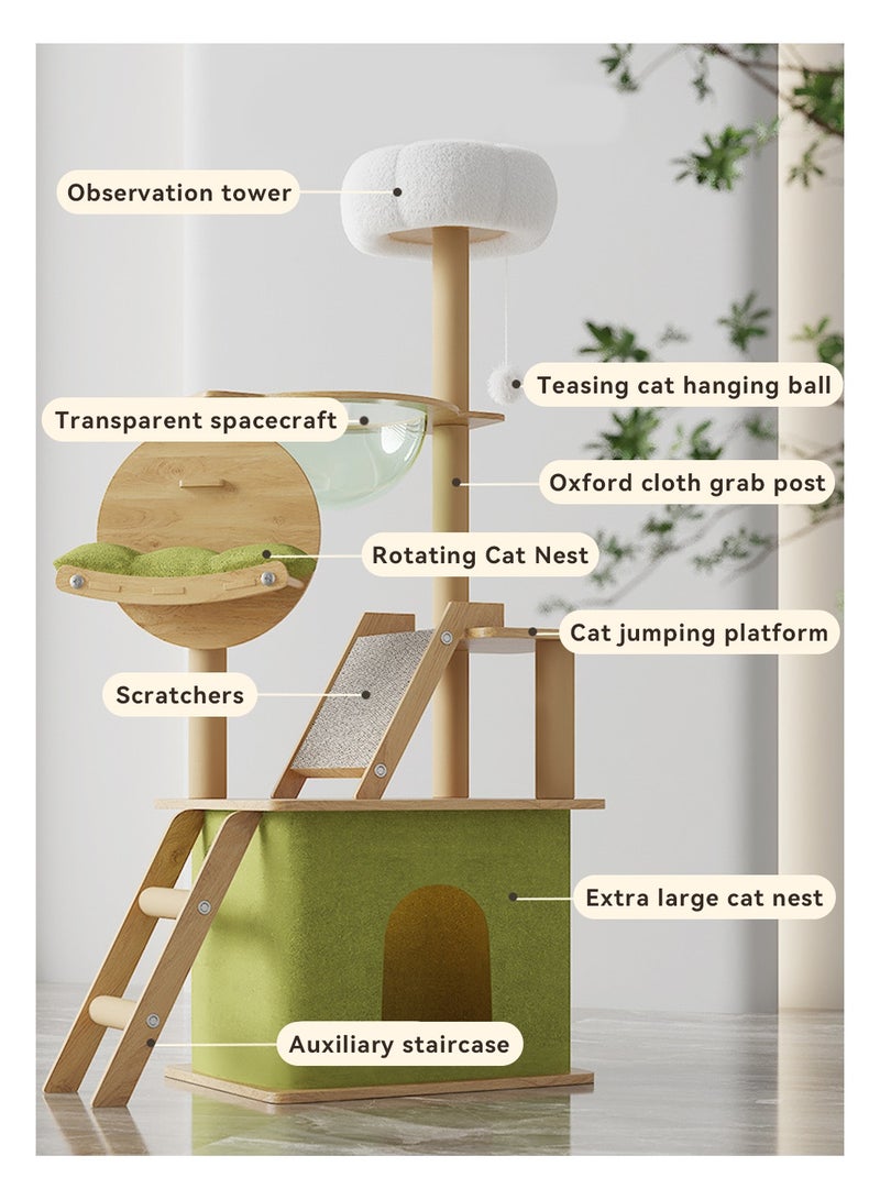 ليوكور شجرة القطة ، إطار تسلق القطة الكبيرة للقطط الداخلية ، برج القطة على مستوى أولتي مع أعمدة الخدش المغطاة بالسيسال ، هامش أكريليك وأعلى برش ، شقة القطة للقطط الكبيرة الصغيرة ، الأخضر (40x55x150 سم) - Image 3