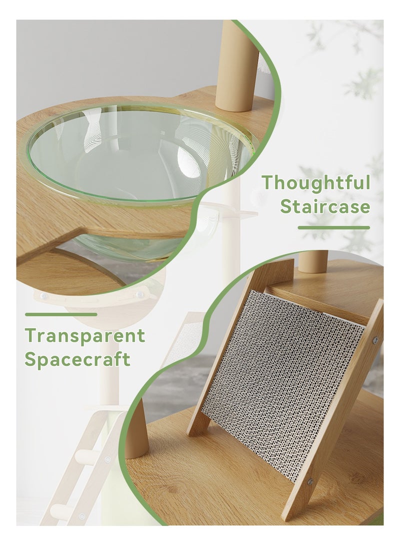 ليوكور شجرة القطة ، إطار تسلق القطة الكبيرة للقطط الداخلية ، برج القطة على مستوى أولتي مع أعمدة الخدش المغطاة بالسيسال ، هامش أكريليك وأعلى برش ، شقة القطة للقطط الكبيرة الصغيرة ، الأخضر (40x55x150 سم) - Image 5