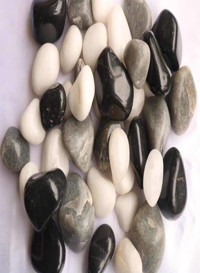 Wowtag Black,White and Grey Combo Polished Pebbles, 2-4 CM,1.95 KG, for Plant pots, Aquarium, Garden, Home Decoration, Vase Filler, Craft Work - Image 1