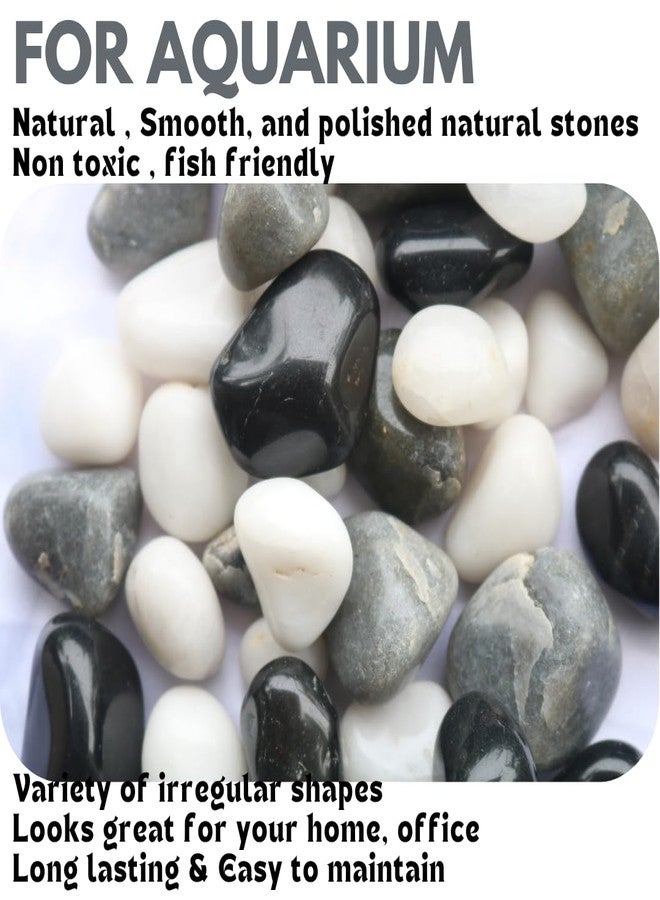 Wowtag Black,White and Grey Combo Polished Pebbles, 2-4 CM,1.95 KG, for Plant pots, Aquarium, Garden, Home Decoration, Vase Filler, Craft Work - Image 3
