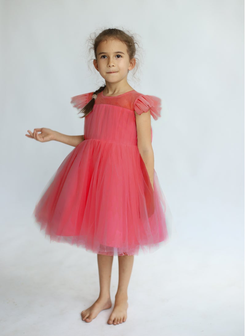 دىدانيالا فستان سهرة تول - Image 1