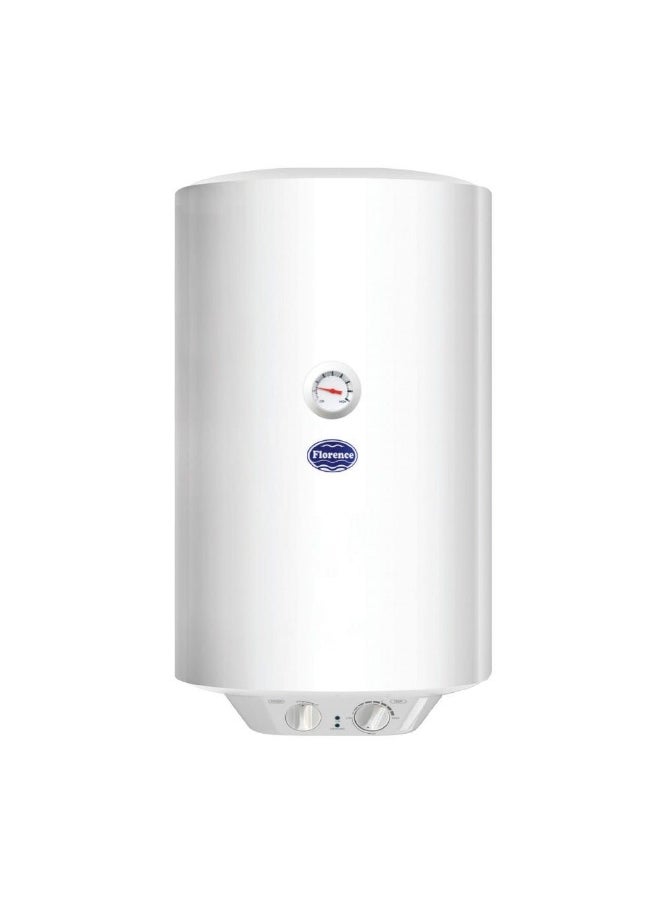 DANUBE HOME Milano Vertical Electric Water Heater - 100 L | Blue Diamond Inner Tank Water Heater | Water Heater For Toilet Bathroom Washroom Shower Powder Room - White  - Image 1