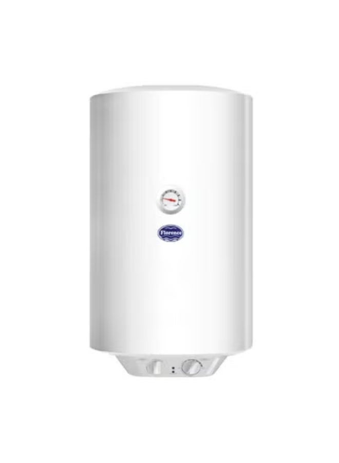 DANUBE HOME Milano Vertical Electric Water Heater - 100 L | Blue Diamond Inner Tank Water Heater | Water Heater For Toilet Bathroom Washroom Shower Powder Room - White - Image 5