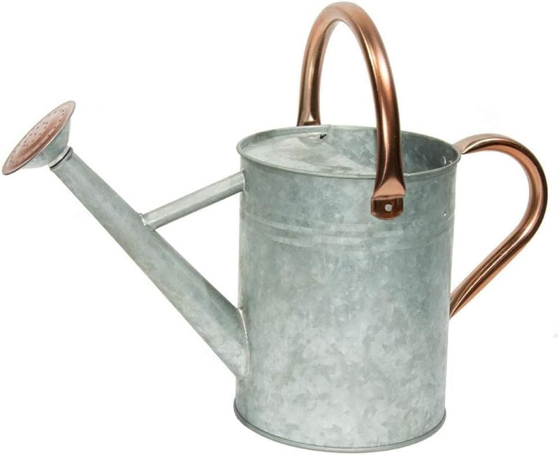 yourjoy Metal Watering Can, One Gallon Watering Cans Stainless Steel for Outdoor Indoor Garden Plants Watering (Zinc 1 Gallon) - Image 1