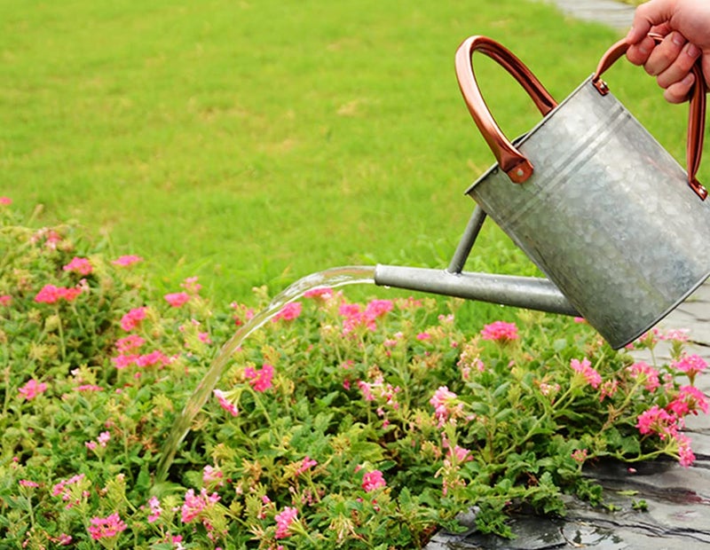 yourjoy Metal Watering Can, One Gallon Watering Cans Stainless Steel for Outdoor Indoor Garden Plants Watering (Zinc 1 Gallon) - Image 5