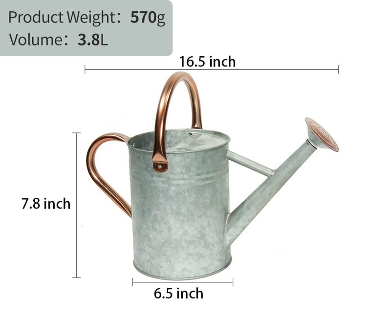 yourjoy Metal Watering Can, One Gallon Watering Cans Stainless Steel for Outdoor Indoor Garden Plants Watering (Zinc 1 Gallon) - Image 2