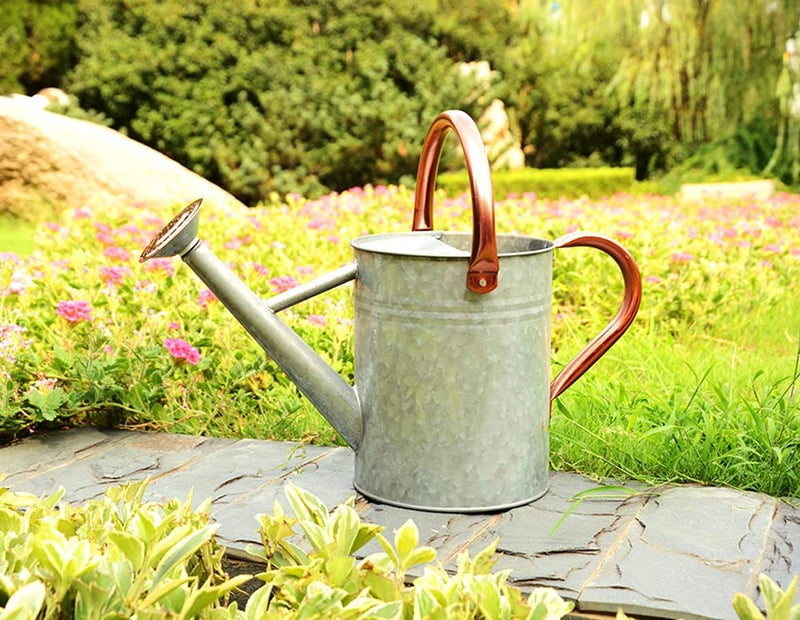 yourjoy Metal Watering Can, One Gallon Watering Cans Stainless Steel for Outdoor Indoor Garden Plants Watering (Zinc 1 Gallon) - Image 3