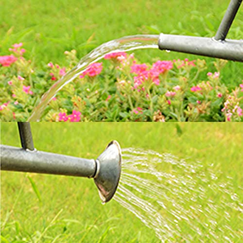 yourjoy Metal Watering Can, One Gallon Watering Cans Stainless Steel for Outdoor Indoor Garden Plants Watering (Zinc 1 Gallon) - Image 4