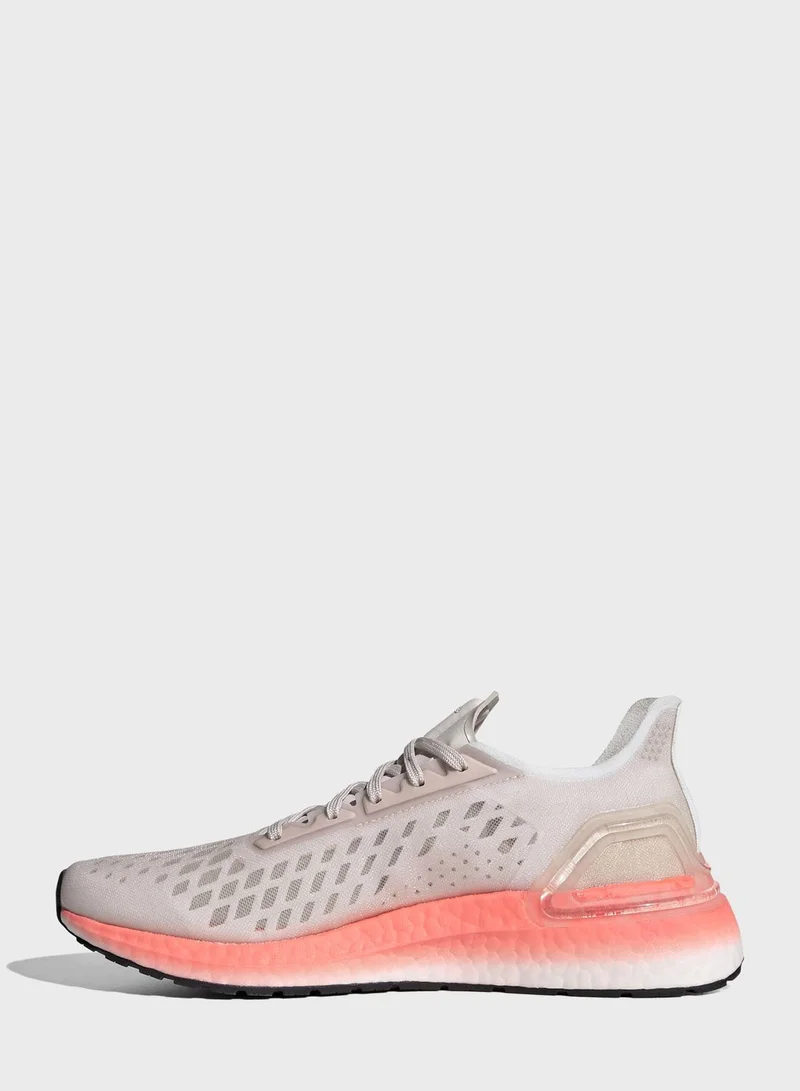 Adidas Ultraboost PB